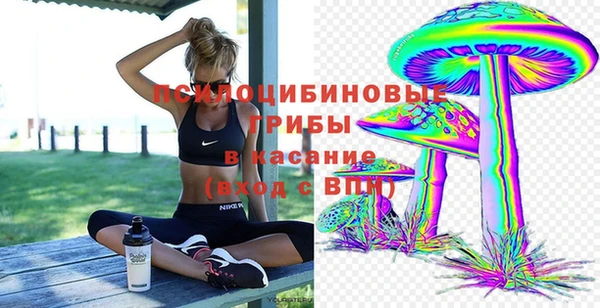 хмурый Балабаново